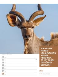 Ackermann Kunstverlag: Tierisch! Sprüchekalender - Wochenplaner Kalender 2025