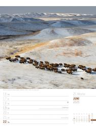 Ackermann Kunstverlag: Planet Erde - Landschaften der Welt - Wochenplaner Kalender 2025