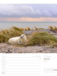 Ackermann Kunstverlag: Abenteuer Deutschland - Naturparadiese Wochenplaner Kalender 2025