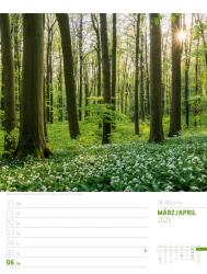 Ackermann Kunstverlag: Abenteuer Deutschland - Naturparadiese Wochenplaner Kalender 2025