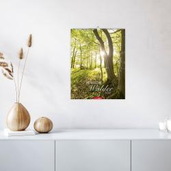 Katzenkinder Posterkalender 2026