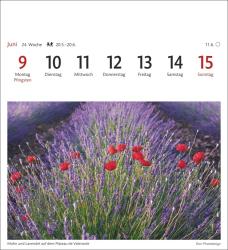 Provence Sehnsuchtskalender 2025 - Wochenkalender mit 53 Postkarten