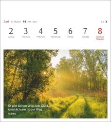 Momente des Glücks Postkartenkalender 2025 - Wochenkalender mit Zitaten, mit 53 Postkarten