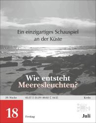 Michael Schweer-de Bailly: Einstein für Quanten-Dilettanten Tagesabreißkalender 2025 - Ein vergnüglicher Crashkurs in Sachen Naturwissenschaften