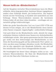 Michael Schweer-de Bailly: Einstein für Quanten-Dilettanten Tagesabreißkalender 2025 - Ein vergnüglicher Crashkurs in Sachen Naturwissenschaften