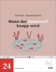 Michael Schweer-de Bailly: Einstein für Quanten-Dilettanten Tagesabreißkalender 2025 - Ein vergnüglicher Crashkurs in Sachen Naturwissenschaften