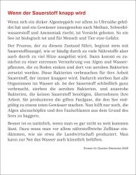 Michael Schweer-de Bailly: Einstein für Quanten-Dilettanten Tagesabreißkalender 2025 - Ein vergnüglicher Crashkurs in Sachen Naturwissenschaften