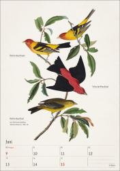 Bunte Vogelwelt Wochenplaner 2025 - 53 historische Illustrationen