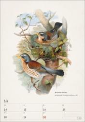 Bunte Vogelwelt Wochenplaner 2025 - 53 historische Illustrationen