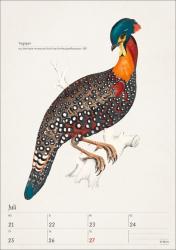 Bunte Vogelwelt Wochenplaner 2025 - 53 historische Illustrationen