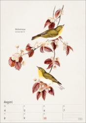 Bunte Vogelwelt Wochenplaner 2025 - 53 historische Illustrationen