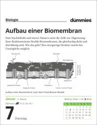 Die Welt erklärt für Dummies Tagesabreißkalender 2025