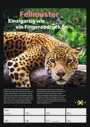 Terra X - Das Wunder Erde Wochenplaner 2026