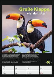 Terra X - Das Wunder Erde Wochenplaner 2026