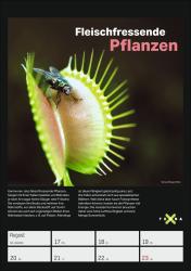 Terra X - Das Wunder Erde Wochenplaner 2026