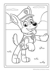 PAW Patrol Kindergartenheft - Taschenbuch