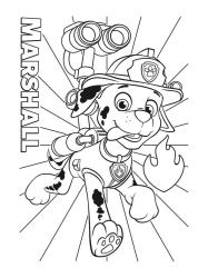 PAW Patrol - Taschenbuch