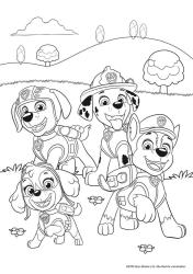 PAW Patrol Kindergartenheft - Taschenbuch