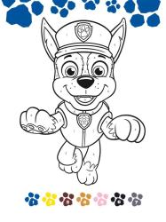 PAW Patrol Kindergartenheft - Taschenbuch