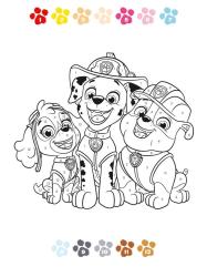 PAW Patrol Kindergartenheft - Taschenbuch