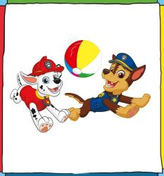 PAW Patrol Lernbuch - Taschenbuch