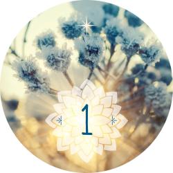 Adventskalender in der Dose. 24 Entspannungsmomente für den Advent