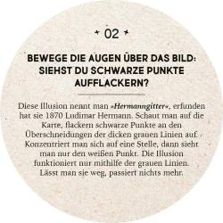 Adventskalender in der Dose - 24 optische Illusionen