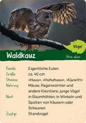 Eva Wagner: Naturforscher-Kids - Wald