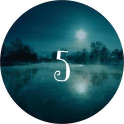 Nachtlandschaft mit Vollmond, bewölktem Himmel und Nebel über einem Fluss. Silhouetten von Bäumen am Ufer.