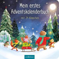 Maria Höck: Mein erstes Adventskalenderbuch