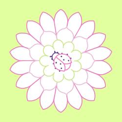 Mein erstes Mandala-Malbuch Frühling - Taschenbuch