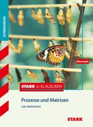 Stark in Klausuren - Mathematik Stochastische Prozesse - Taschenbuch