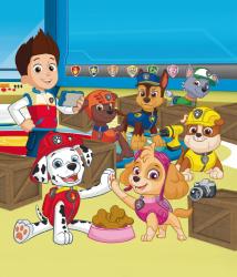 PAW Patrol Mein Taschenlampenbuch