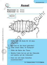 Jürgen Dittmann: Die Becherlupen-Kartei: Tiere in Kompost, Boden und morschen Bäumen