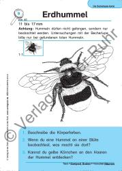 Jürgen Dittmann: Die Becherlupen-Kartei: Tiere in Kompost, Boden und morschen Bäumen