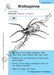 Jürgen Dittmann: Die Becherlupen-Kartei: Tiere in Kompost, Boden und morschen Bäumen