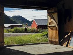 Lofoten - gebunden