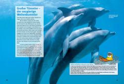 Kim Cornelius Detloff: Entdecke die Delfine - gebunden