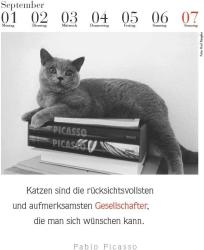 Julia Bachstein: Der literarische Katzenkalender 2025