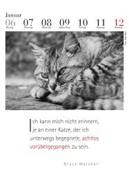 Julia Bachstein: Der literarische Katzenkalender 2025