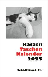 Julia Bachstein: Katzen Taschenkalender 2025