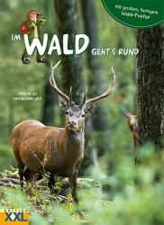 Im Wald geht´s rund - mit großem, farbigem Poster, m. 1 Beilage - gebunden