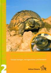 Holger Vetter: Griechische Landschildkröte - gebunden