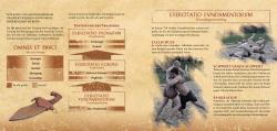 Christian Eckert: Gladiatoren-Kochbuch - gebunden