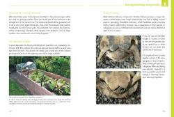 Thorsten Geier: Mediterranean Tortoises: Gentle Creatures in Hard Shells - Taschenbuch