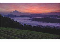 Charles T. Whipple: Japan - gebunden