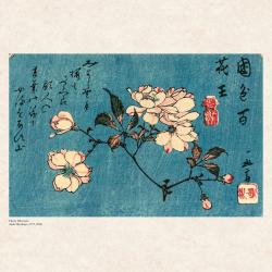 Hokusai/Hiroshige - Nature´s Spell 2025