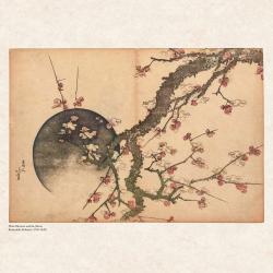 Hokusai/Hiroshige - Nature´s Spell 2025