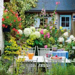 Cottage Garden/Bauerngarten 2025