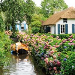 Cottage Garden/Bauerngarten 2025